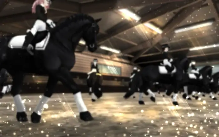 Focus section background