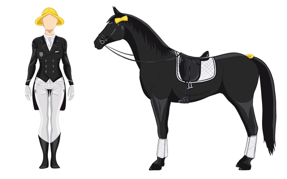 Team outfit and horse combined